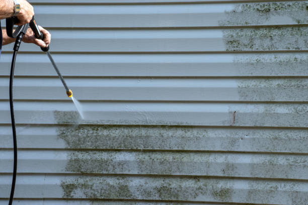 Best Hoarding Cleanup  in East Shoreham, NY