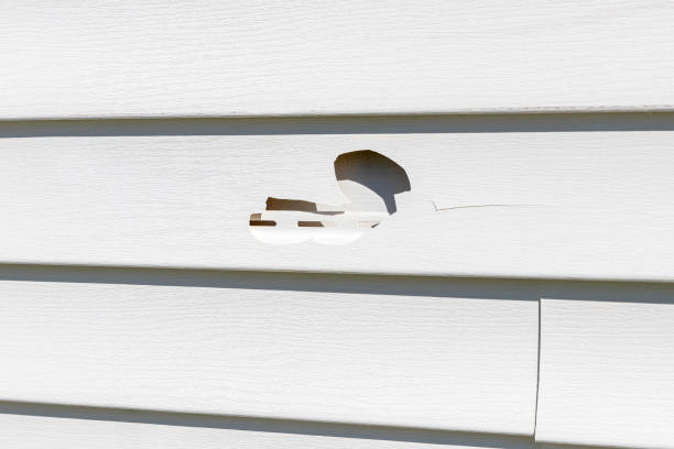 Best Carpet Removal and Disposal  in East Shoreham, NY