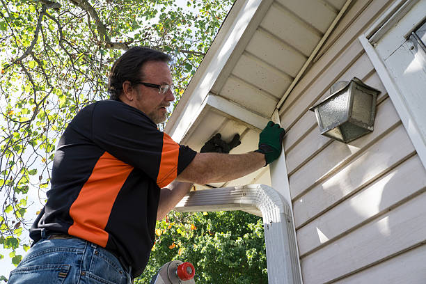 Best Shed Removal  in East Shoreham, NY